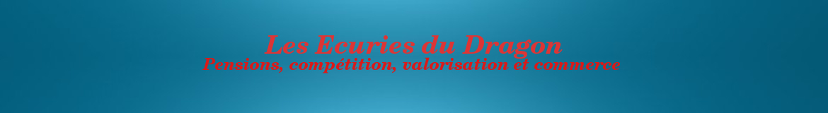 Les Ecuries du Dragon